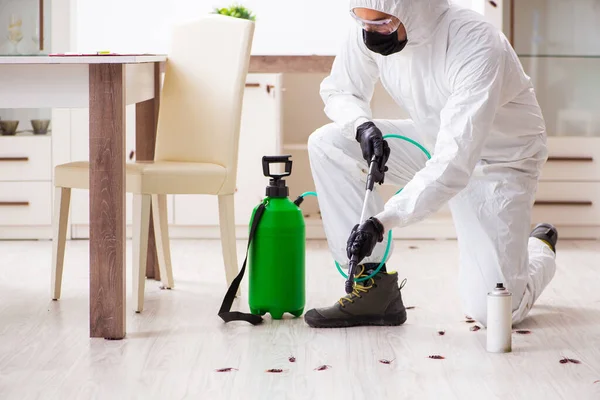 Best Pest Control In Abu Dhabi